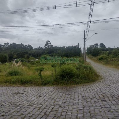 Terreno Para Comprar Desvio Rizzo Em Caxias Do Sul C D