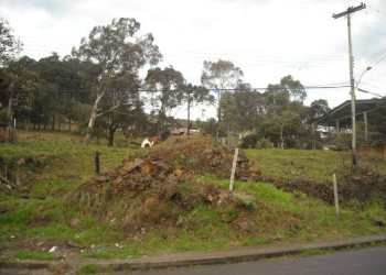 Terreno com 4000m², no bairro Castelo em Caxias do Sul para Alugar