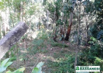 Terreno, no bairro Bom Pastor em Caxias do Sul para Comprar