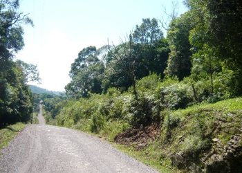 Chácara, no bairro Nossa Senhora do Rosário em Caxias do Sul para Comprar