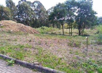 Terreno, no bairro São Ciro em Caxias do Sul para Comprar