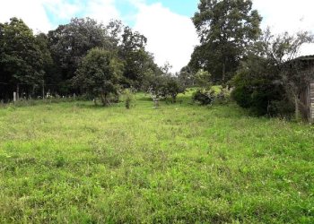 Terreno, no bairro 7 Legua em Caxias do Sul para Comprar