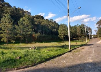 Terreno, no bairro São Giácomo em Caxias do Sul para Comprar