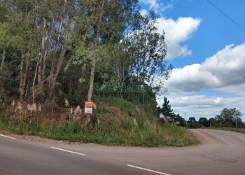 Chácara, no bairro 3 Legua em Caxias do Sul para Comprar