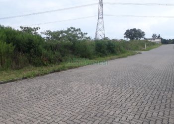 Terreno, no bairro São Ciro em Caxias do Sul para Comprar