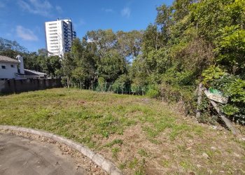 Terreno, no bairro Vila Verde em Caxias do Sul para Comprar