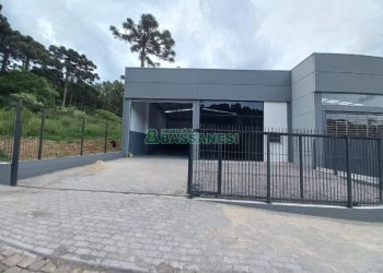 Pavilhão com 319m², no bairro Salgado Filho em Caxias do Sul para Comprar