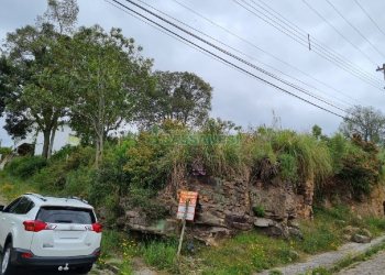 Terreno, no bairro Brandalise em Caxias do Sul para Comprar