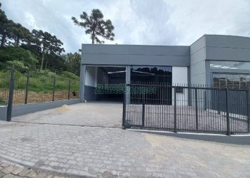 Pavilhão com 320m², no bairro Salgado Filho em Caxias do Sul para Comprar