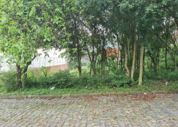 Terreno com 800m², no bairro Sant Etiene em Caxias do Sul para Comprar