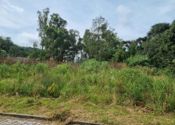 Terreno com 2412m², no bairro De Zorzi em Caxias do Sul para Comprar