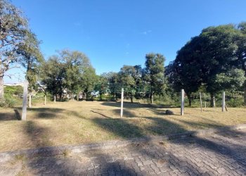 Terreno com 1000m², no bairro São Ciro em Caxias do Sul para Comprar