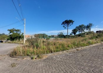 Terreno com 2807m², no bairro São Ciro em Caxias do Sul para Comprar