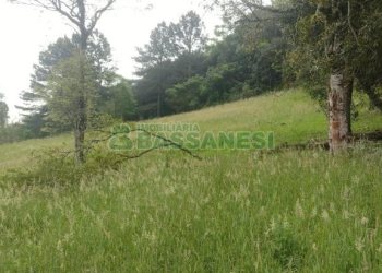 Terreno com 1939m², no bairro Linha 40 em Caxias do Sul para Comprar