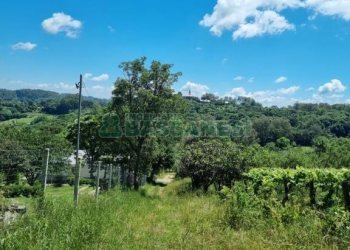 Chácara, no bairro Linha Feijo em Caxias do Sul para Comprar