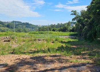 Terreno, no bairro Nossa Senhora das Graças em Caxias do Sul para Comprar