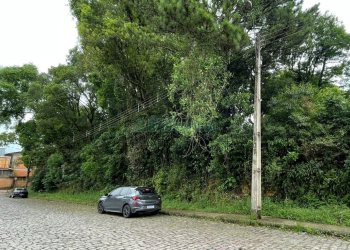 Terreno com 1500m², no bairro Serrano em Caxias do Sul para Comprar